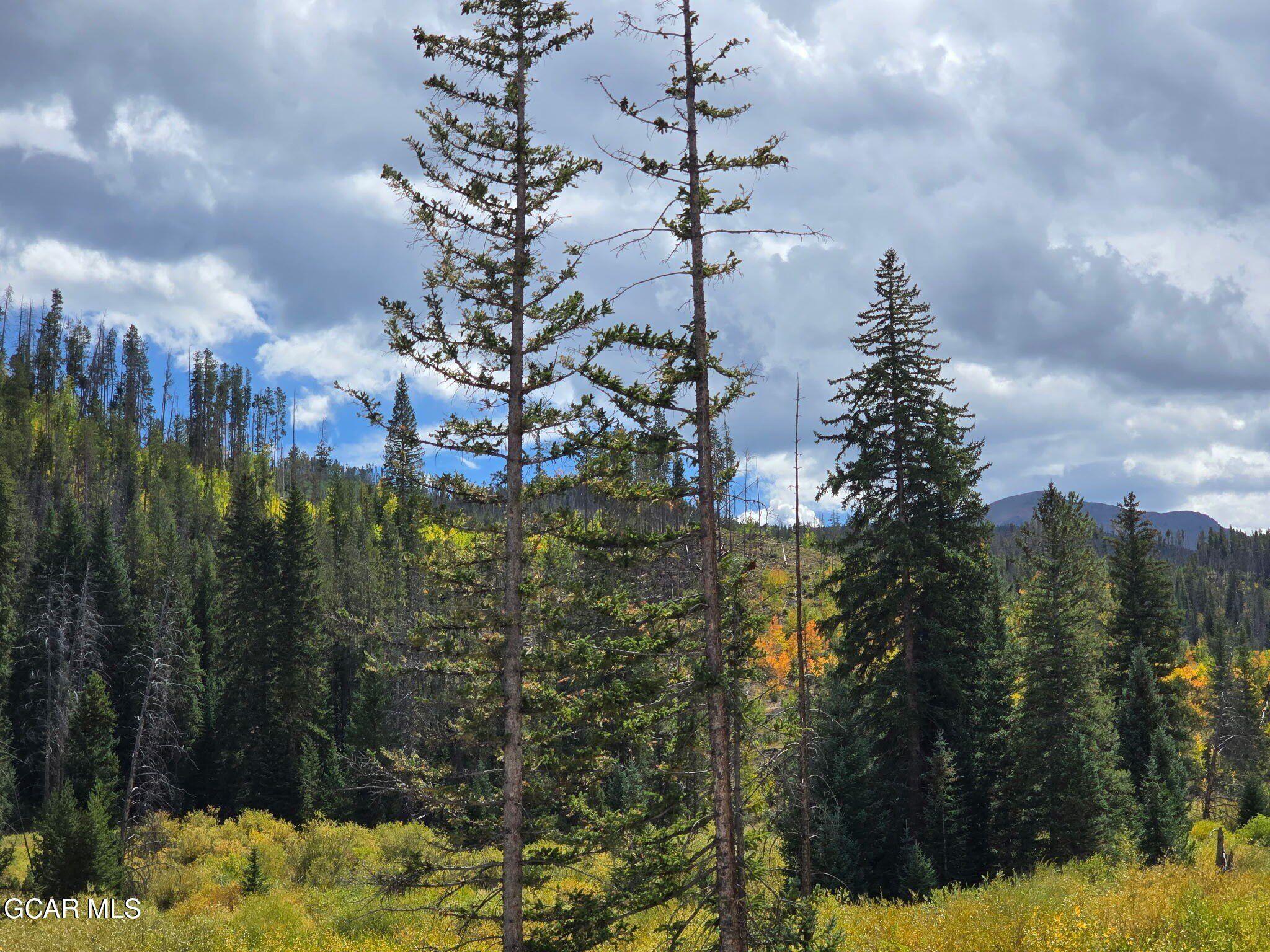 100 Preserve Way. Winter Park, CO 80482