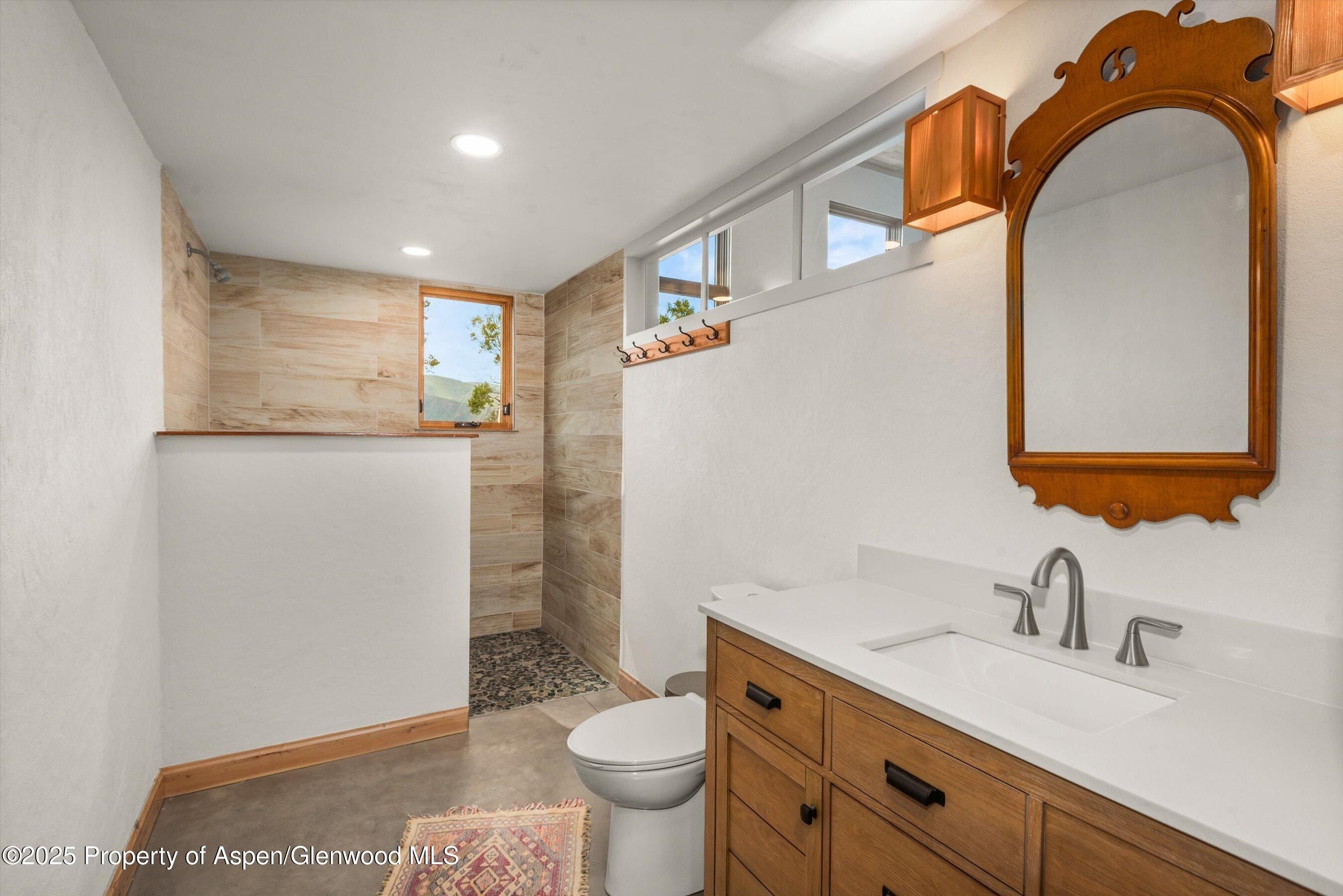 320 Hawk Lane. Basalt, CO 81621