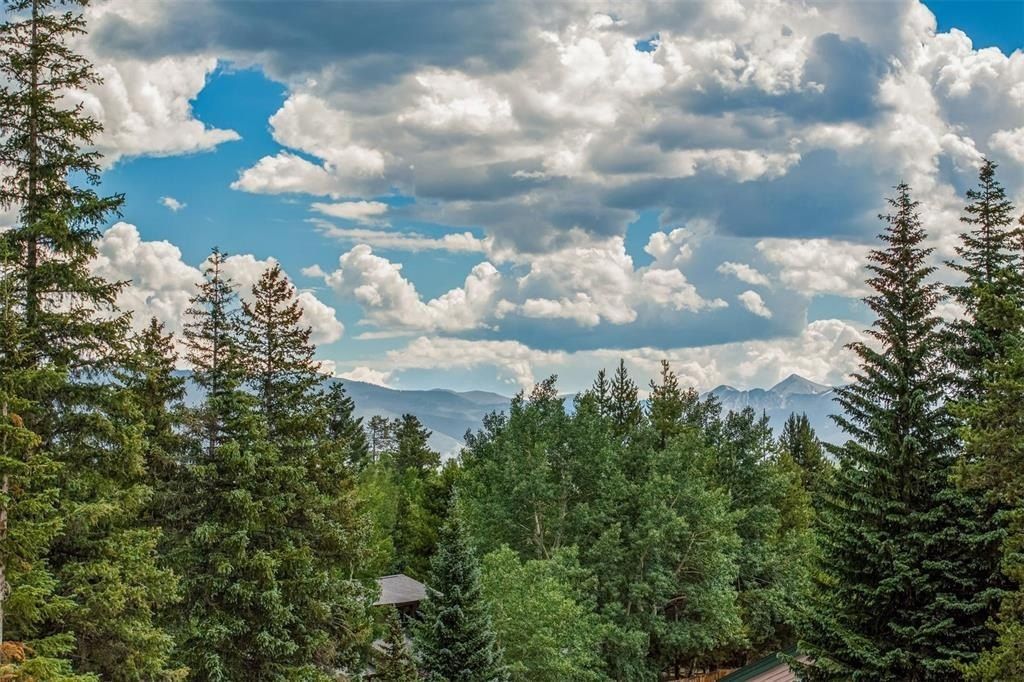 160 Forest Drive. Frisco, CO 80443