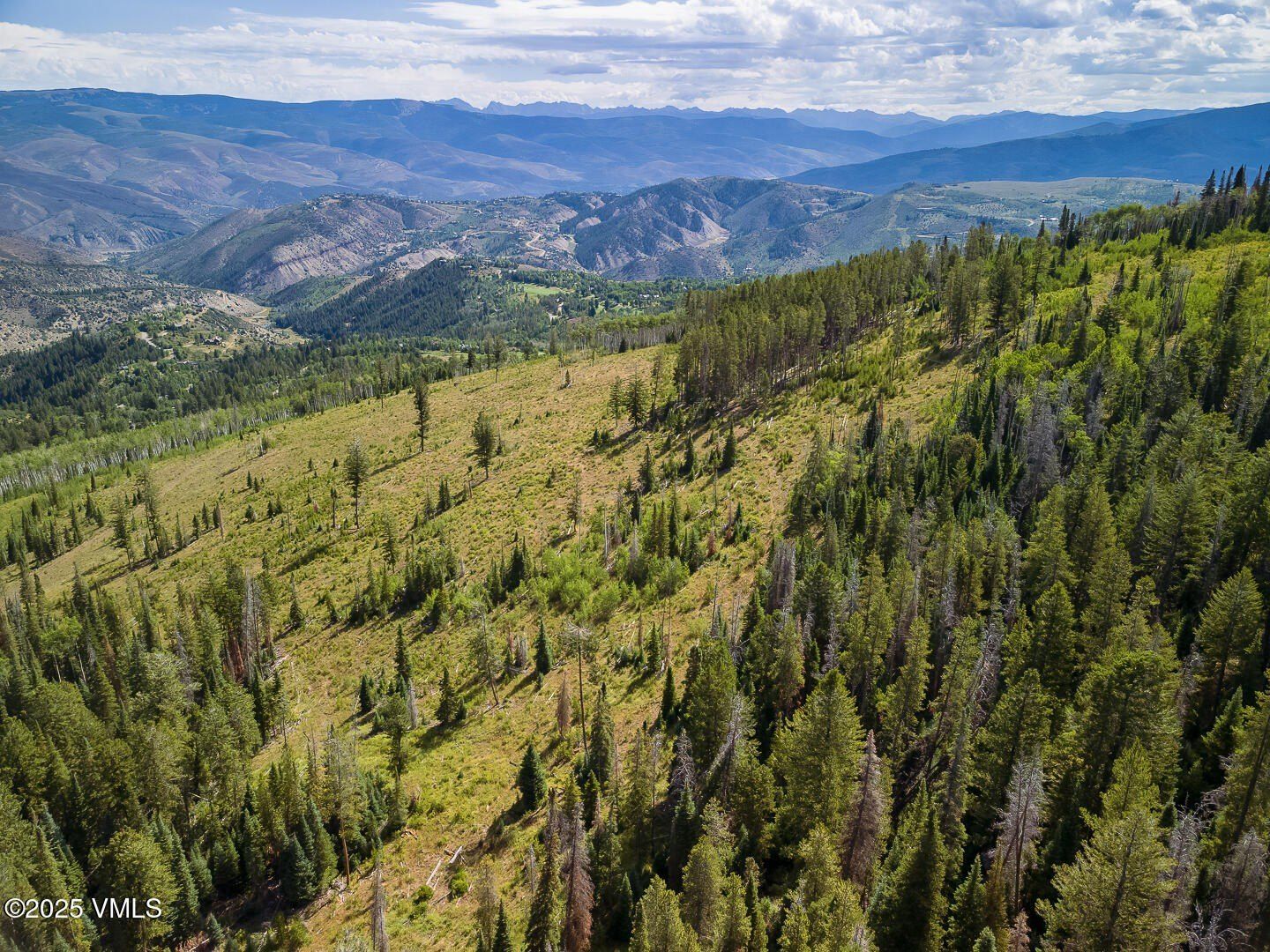 89 Pritchel Place. Edwards, CO 81632