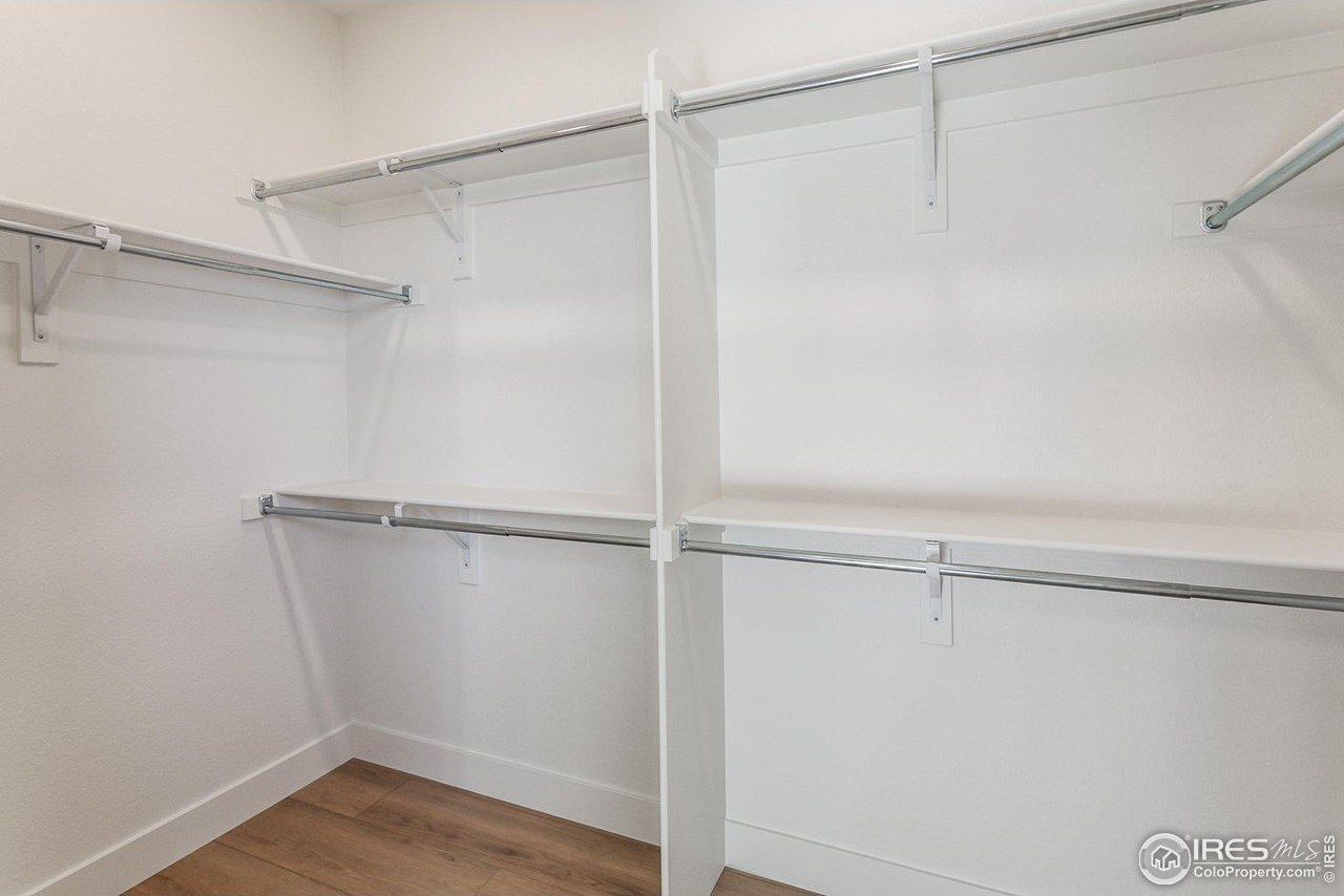 774 Trumpet Ct. Windsor, CO 80550