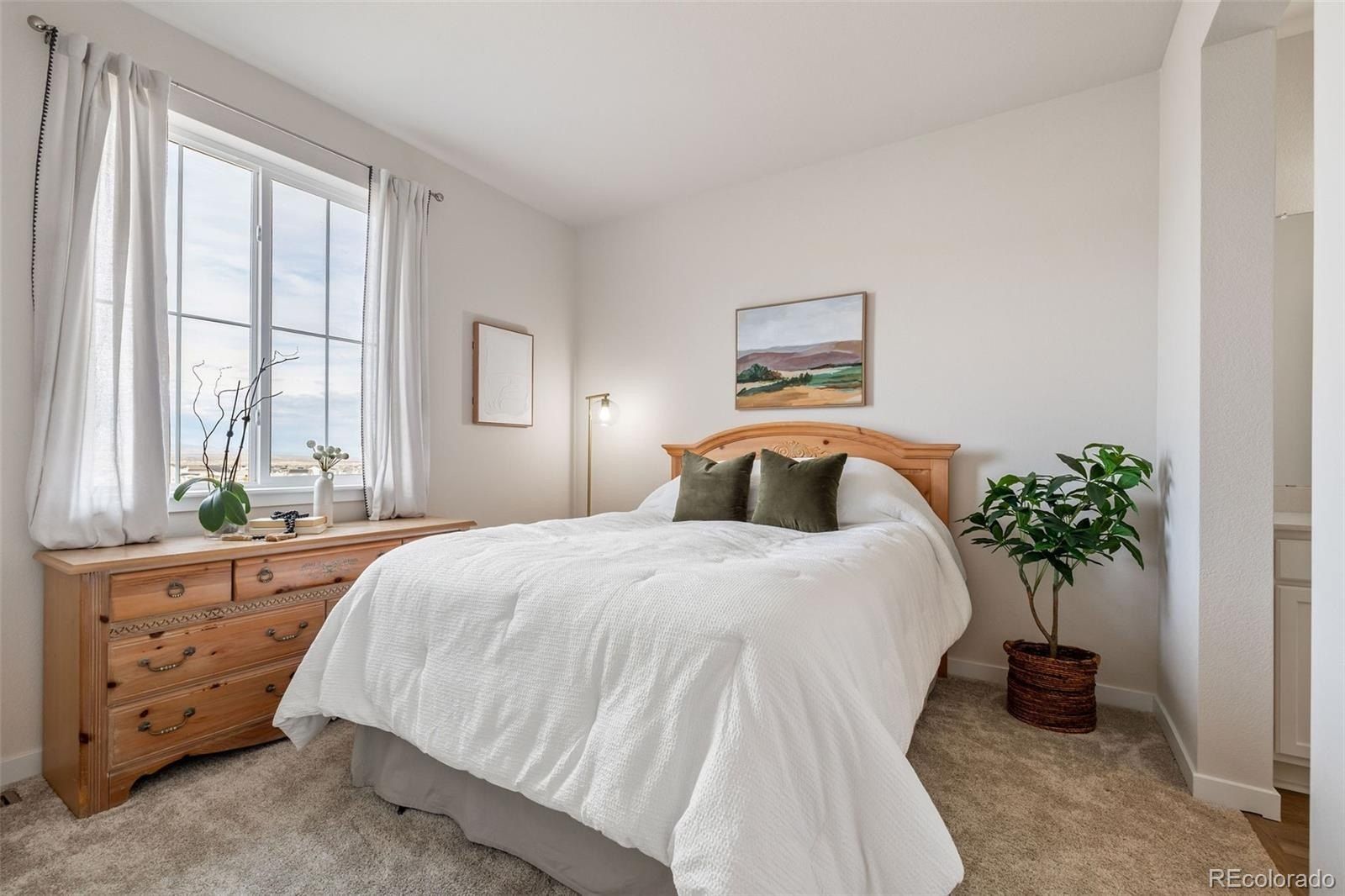 8421 Butte Creek Street. Littleton, CO 80125