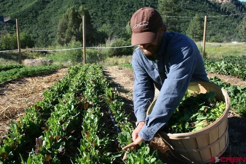 127 Wild Chives Ct. Durango, CO 81301