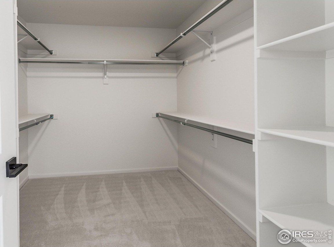 4901 Autumn Leaf Dr. Timnath, CO 80547