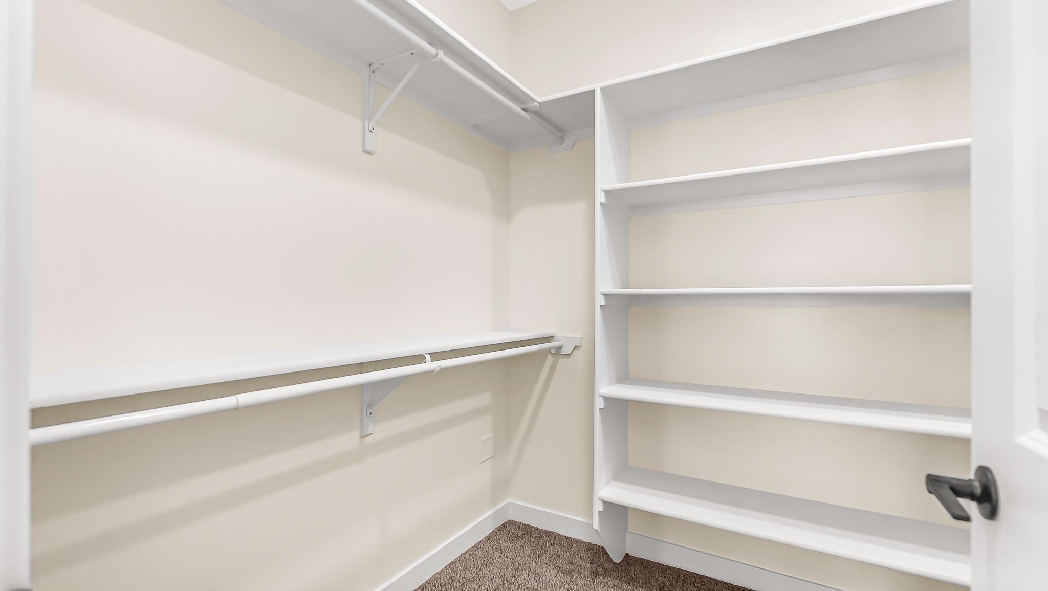 423 Pear Lane. Grand Junction, CO 81504