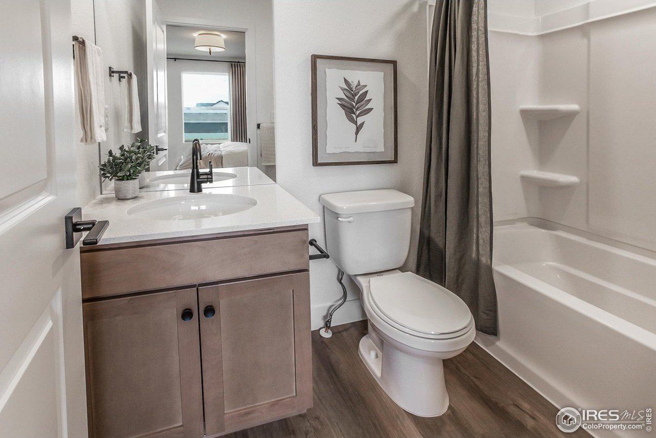 937 Trumpet Ln. Windsor, CO 80550