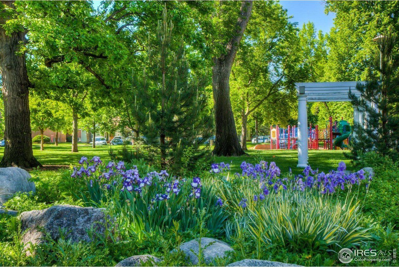 153 Mathews St. Fort Collins, CO 80524