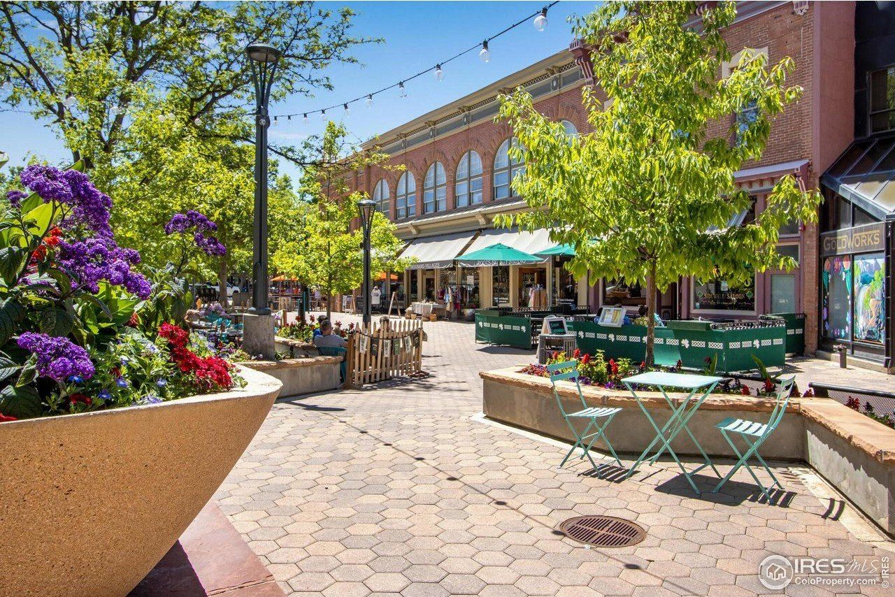 220 E Oak St. Fort Collins, CO 80524