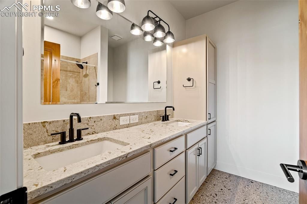 421 Chestnut Street Unit ABC. Buena Vista, CO 81211