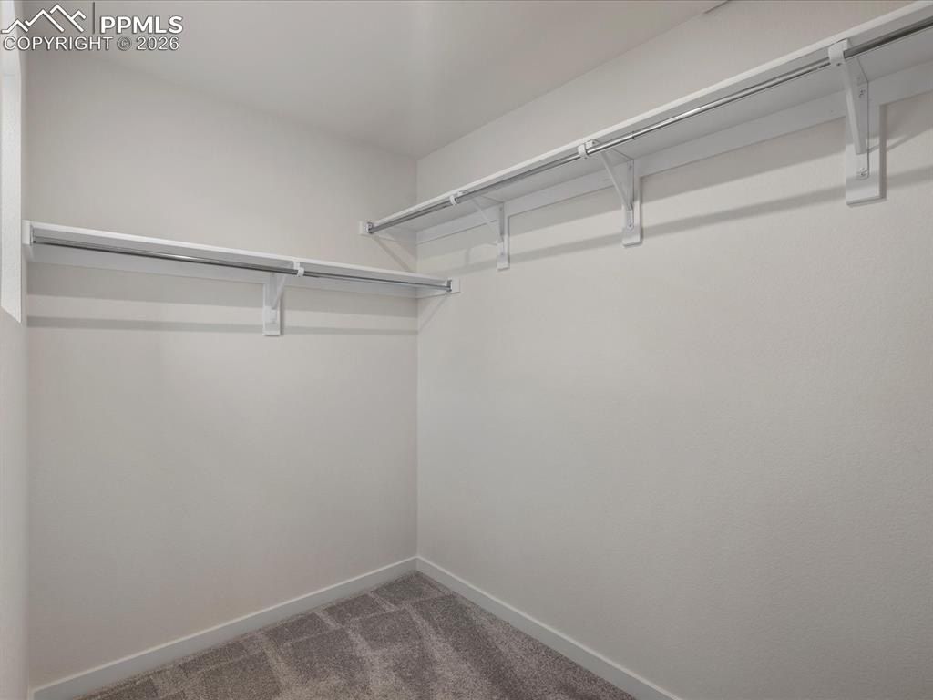 10756 Lewanee Point. Colorado Springs, CO 80908