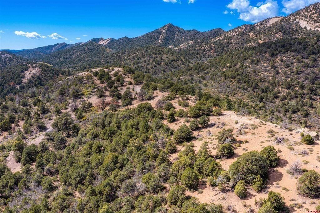 1050 Turkey Trot Lane. Durango, CO 81301