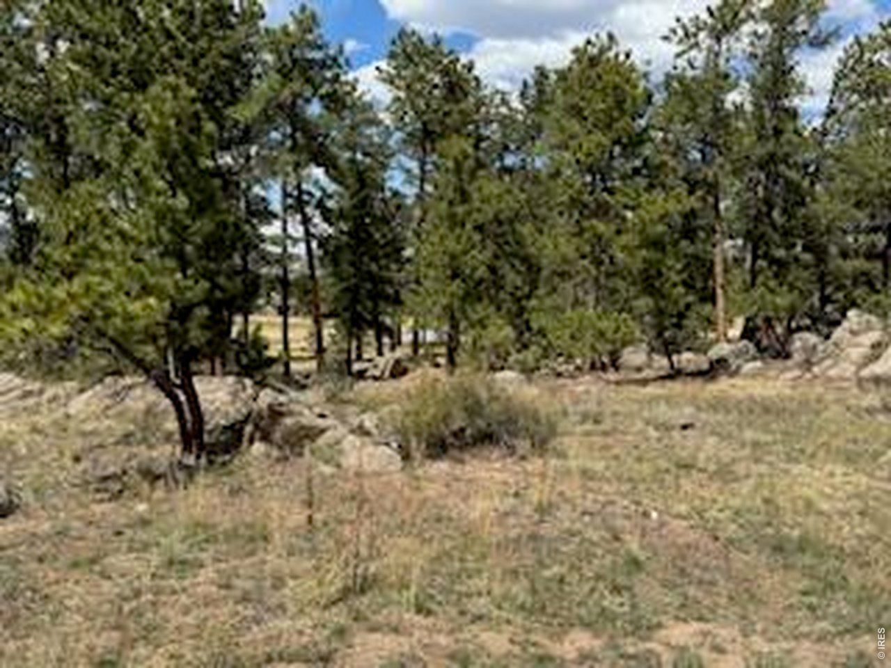 2215 Fox Acres Dr E. Red Feather Lakes, CO 80545