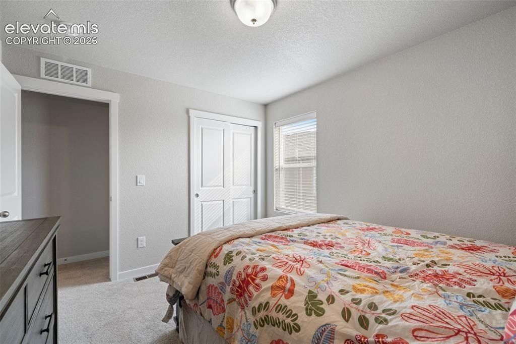 5105 Beartrack Point. Colorado Springs, CO 80925