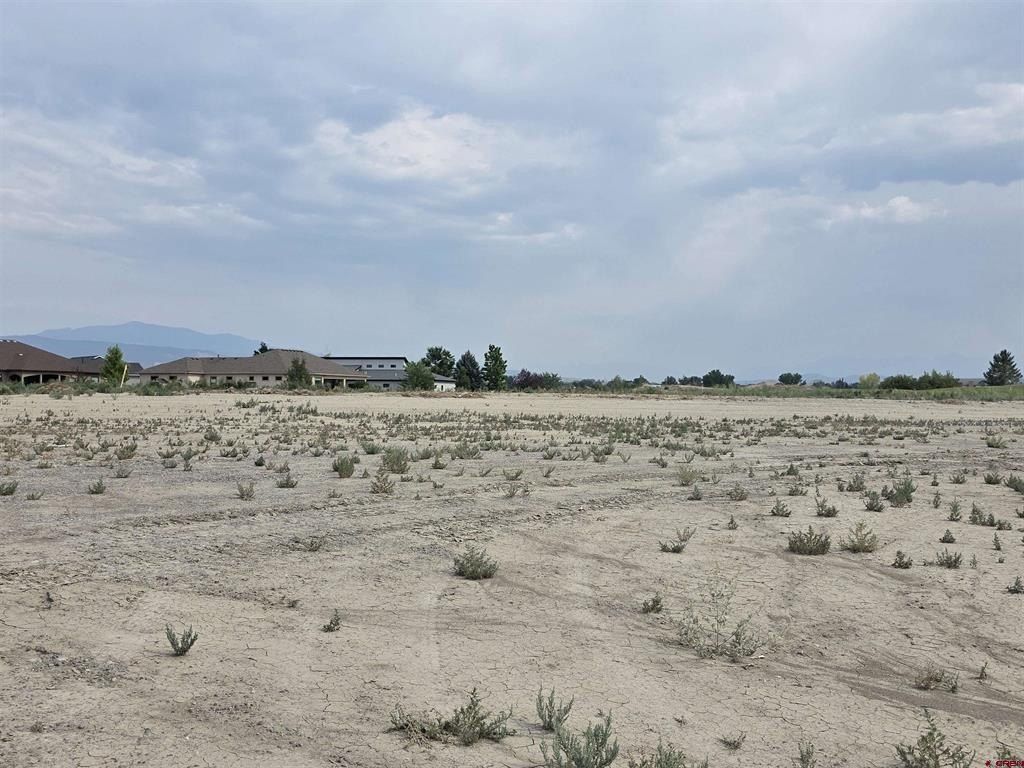 2215 Chimney Rock Way. Montrose, CO 81401
