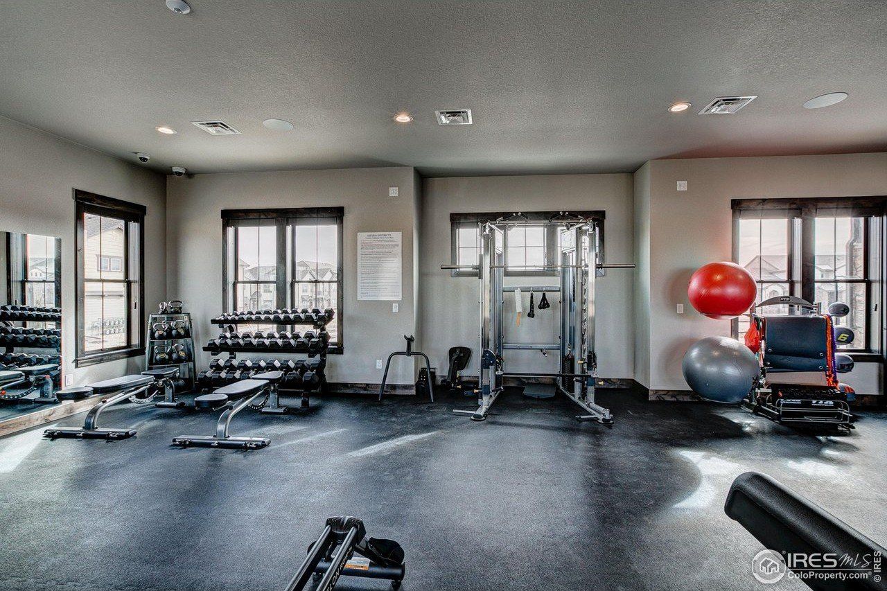 6226 Vernazza Way. Windsor, CO 80550