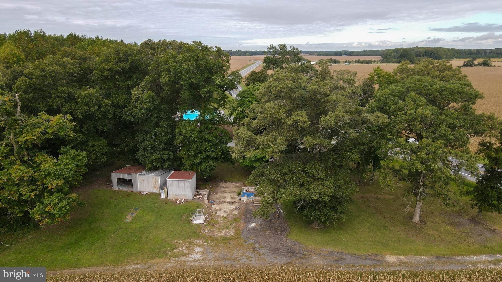 2660 Federalsburg Road. Bridgeville, DE 19933
