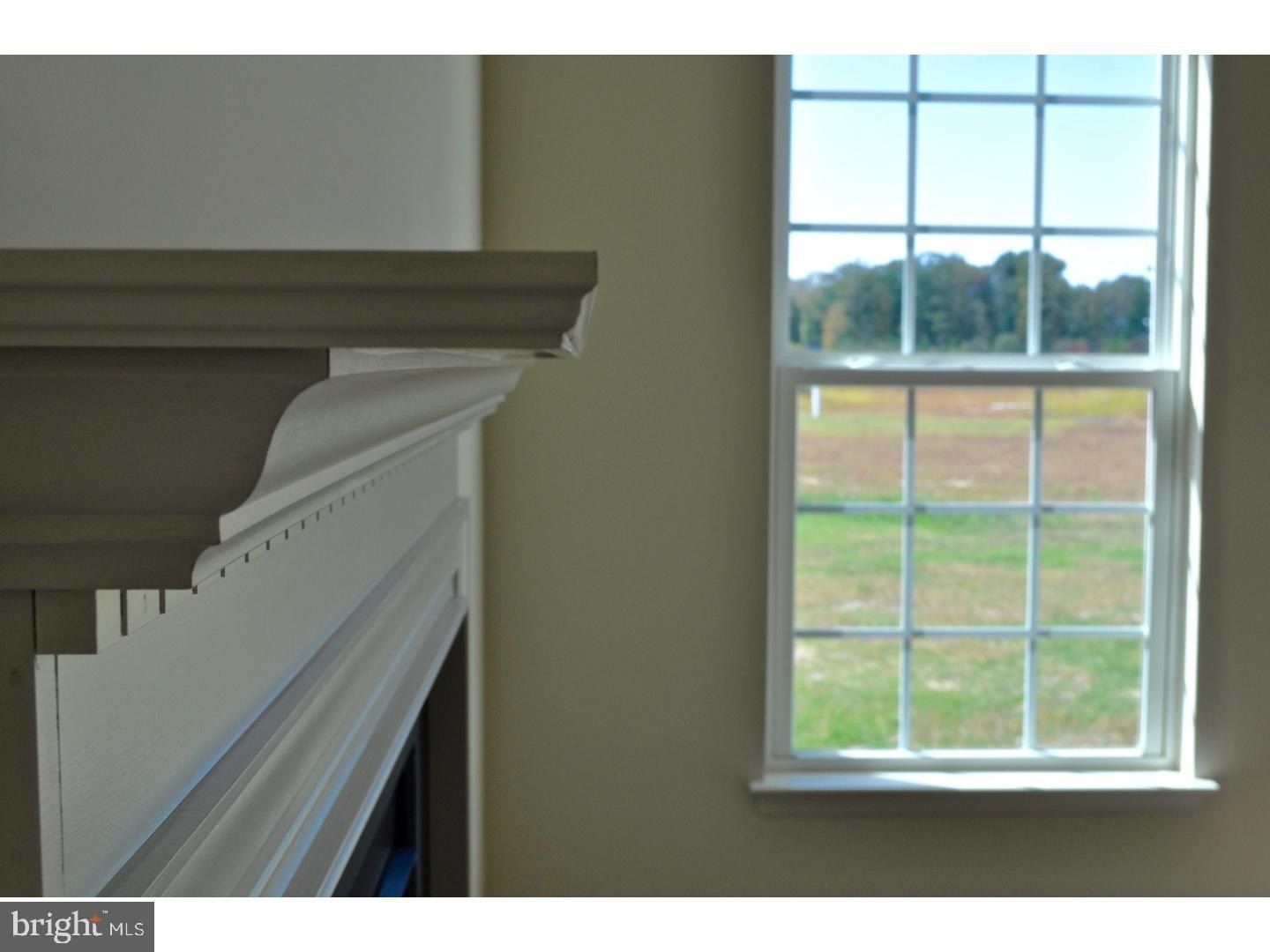 492 E Constitution Drive Unit Jamestown Plan. Smyrna, DE 19977