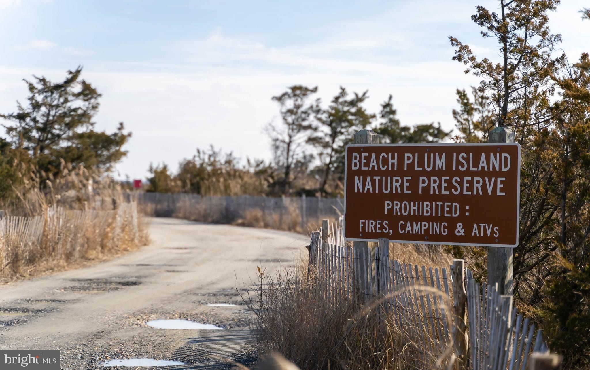 Tbb Lot 7 Pintail Lane. Milton, DE 19968