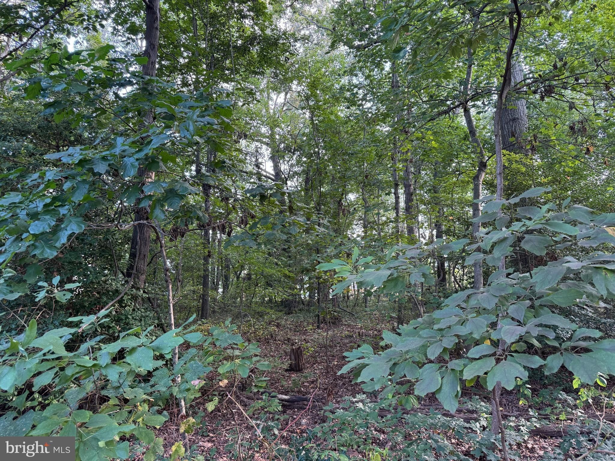 904 Poplar Street. Milford, DE 19963