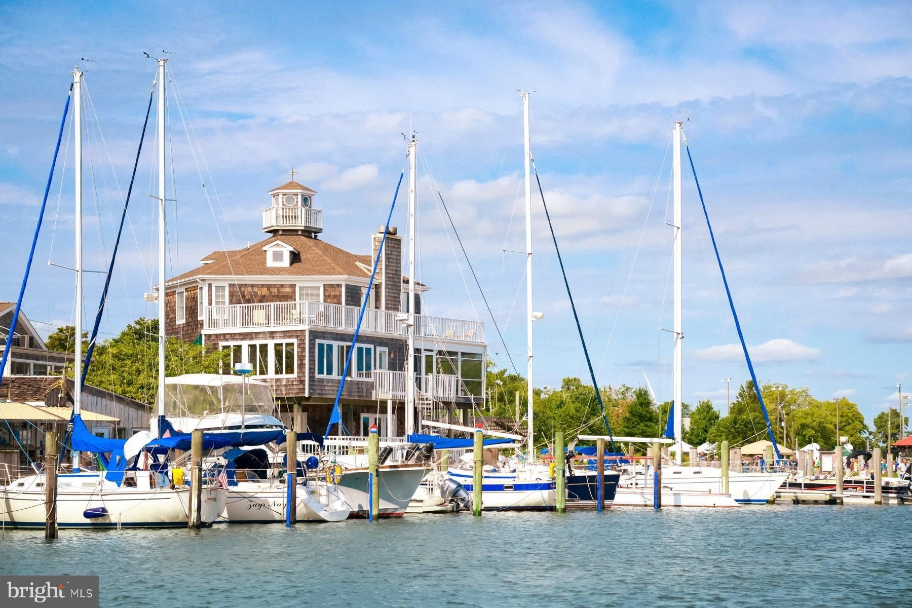 251 Clara Lane. Lewes, DE 19958