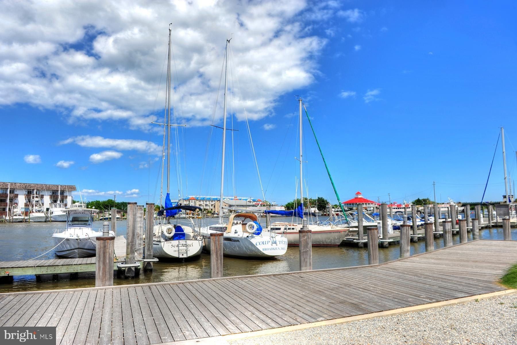 239 Clara Lane. Lewes, DE 19958