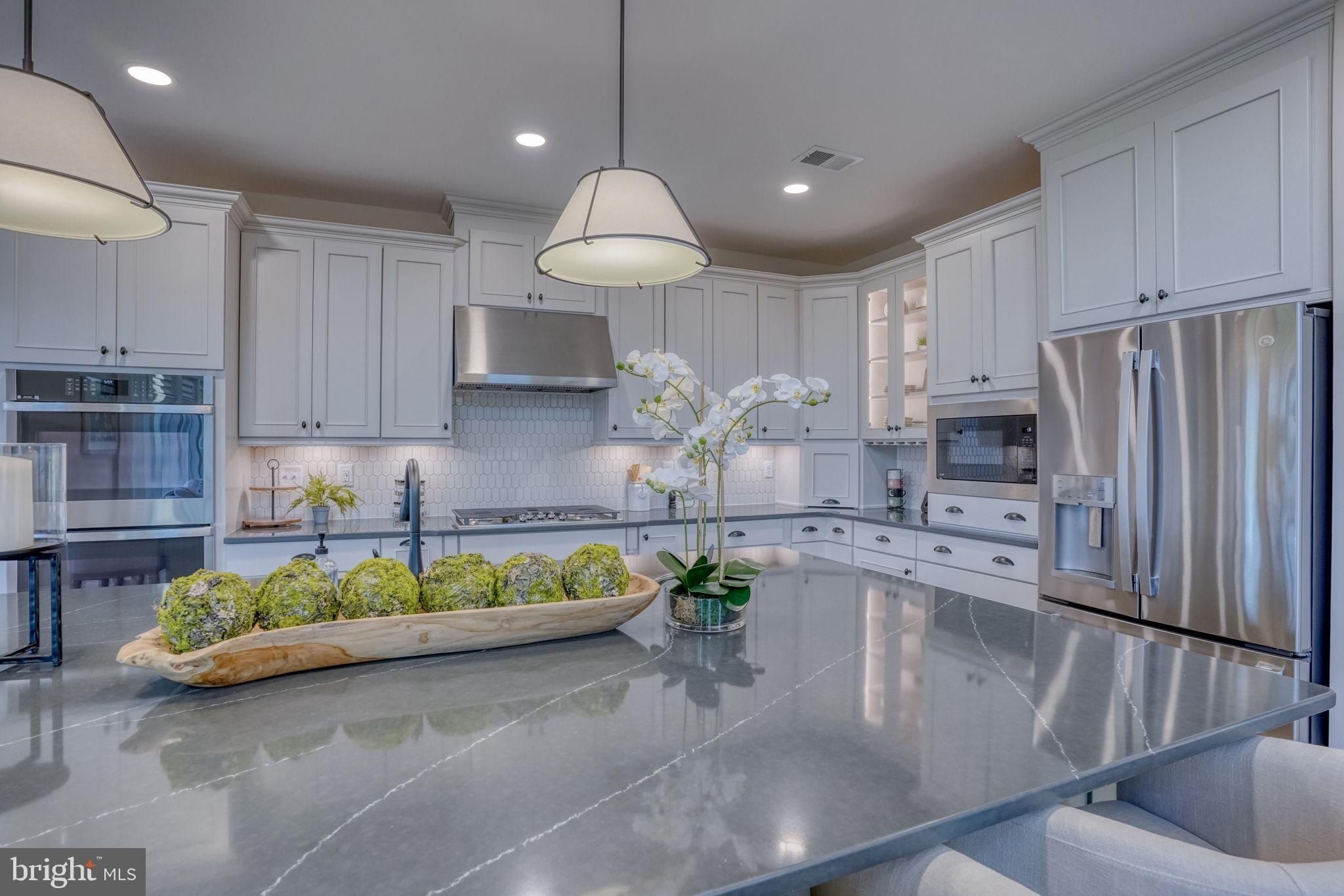 157 Tylers Circle. Lewes, DE 19958