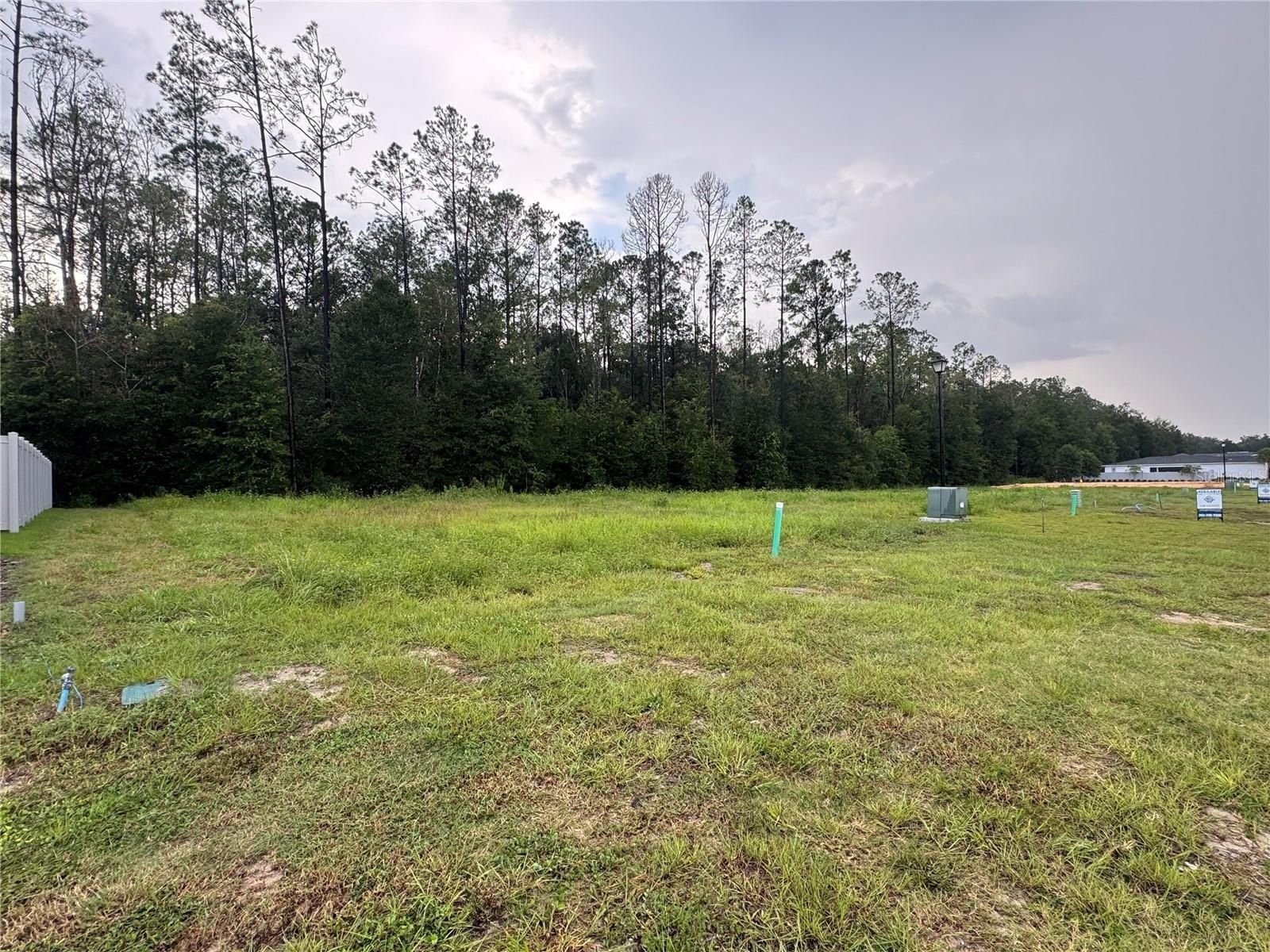 838 Sw 145Th Drive. Newberry, FL 32669