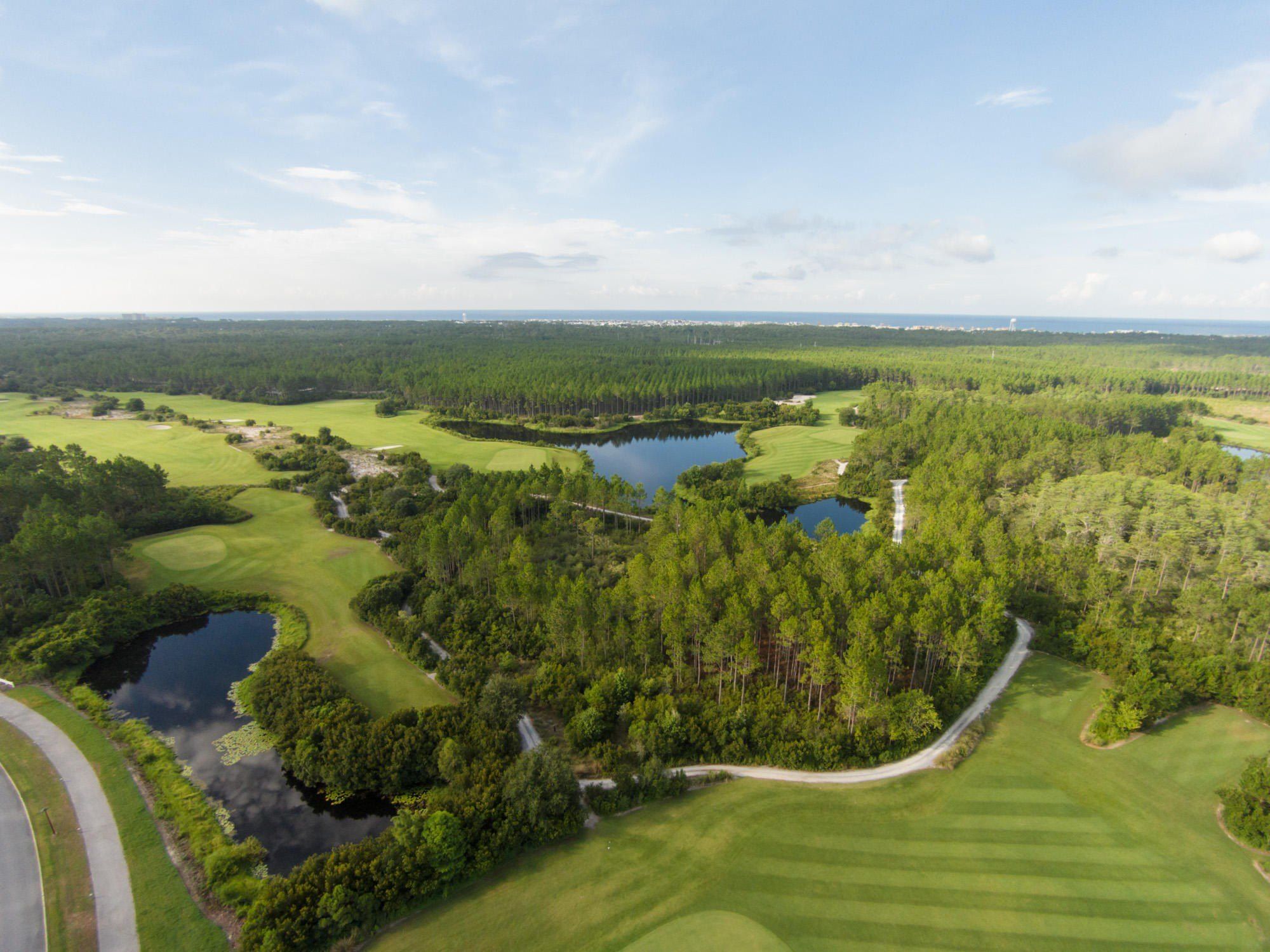 100 Pollard Cove E Lot 87. Watersound, FL 32461
