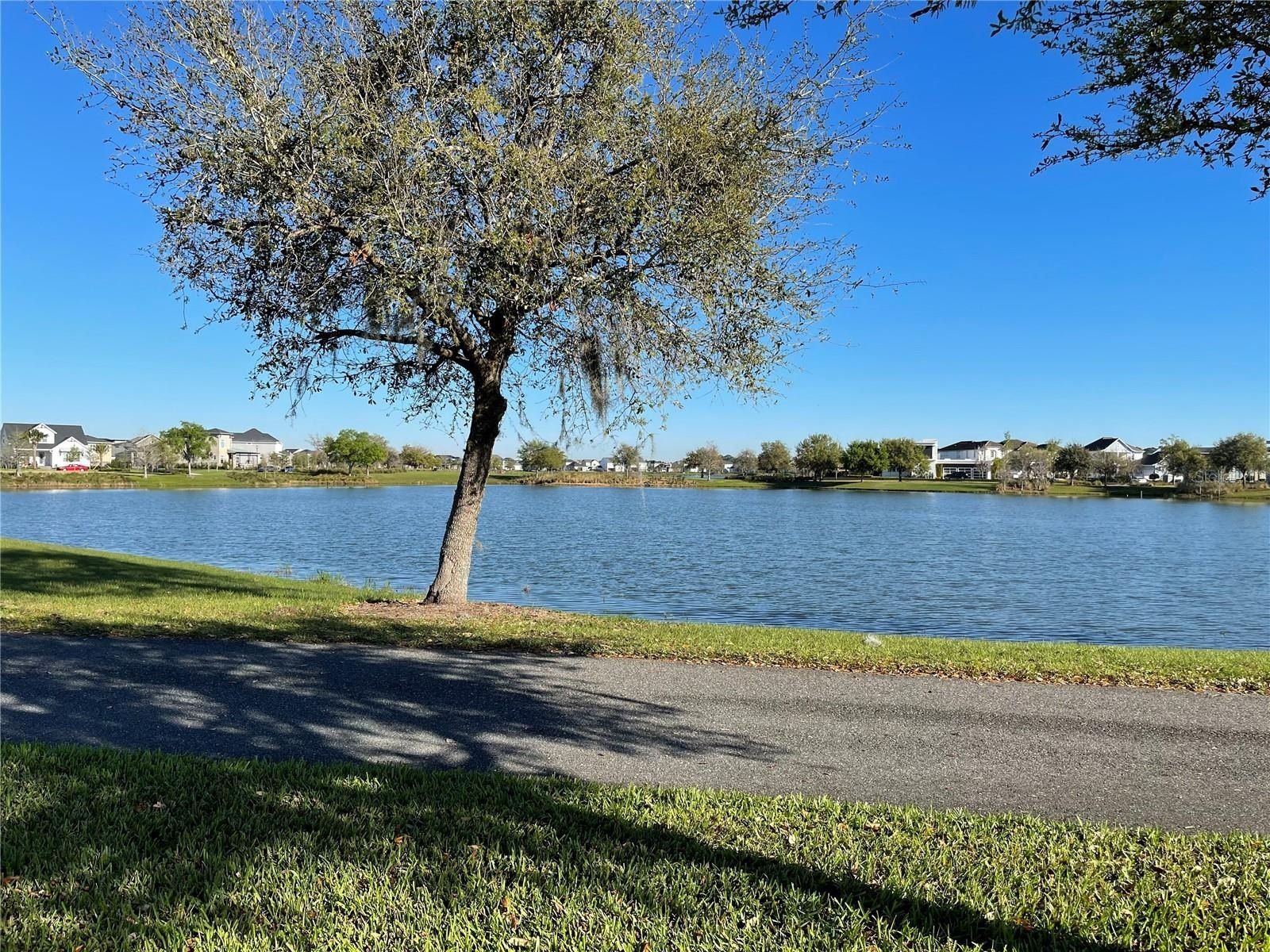 13352 Leggett Alley. Orlando, FL 32827