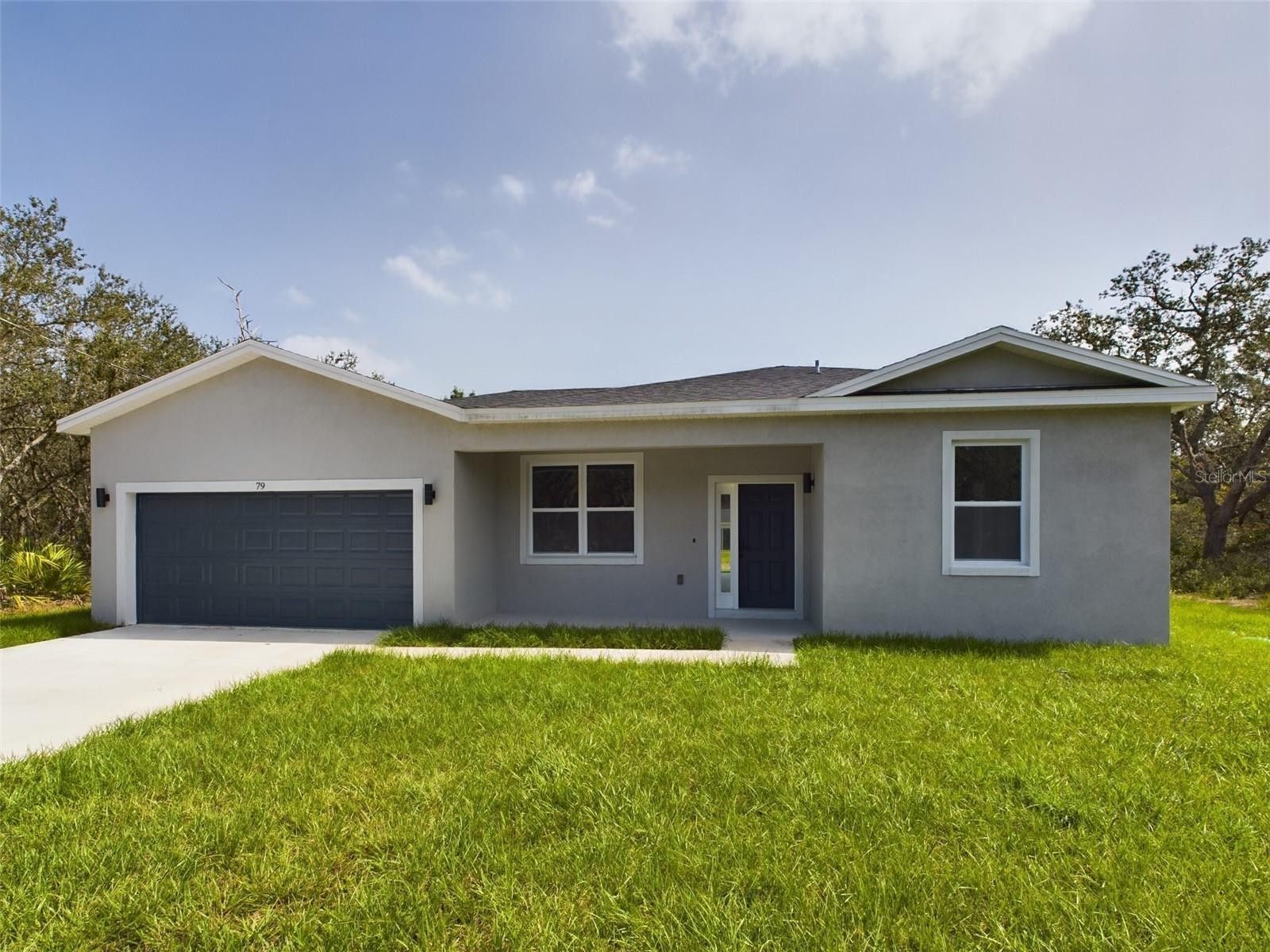 74 Guava Place Drive. Ocklawaha, FL 32179