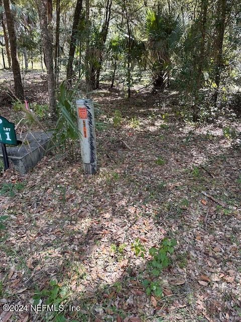 0001 Se 159Th Lane. Umatilla, FL 32784