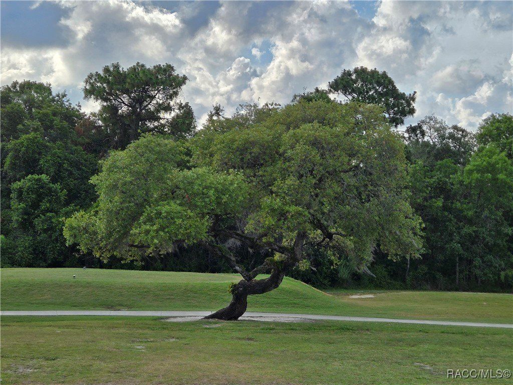 5063 N Triple Eagle Path. Beverly Hills, FL 34465