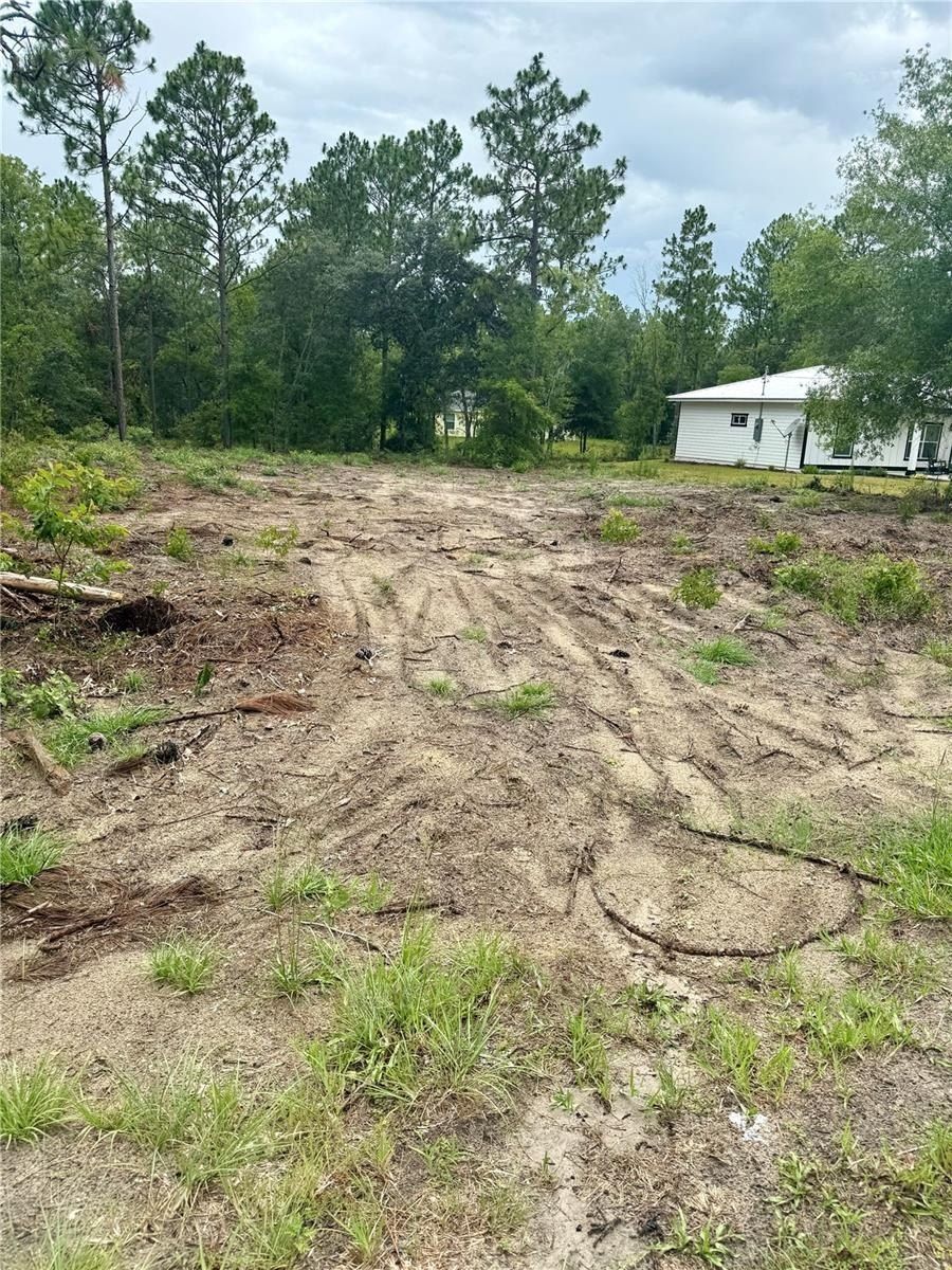 Tbd Ne 151St Terrace. Williston, FL 32696