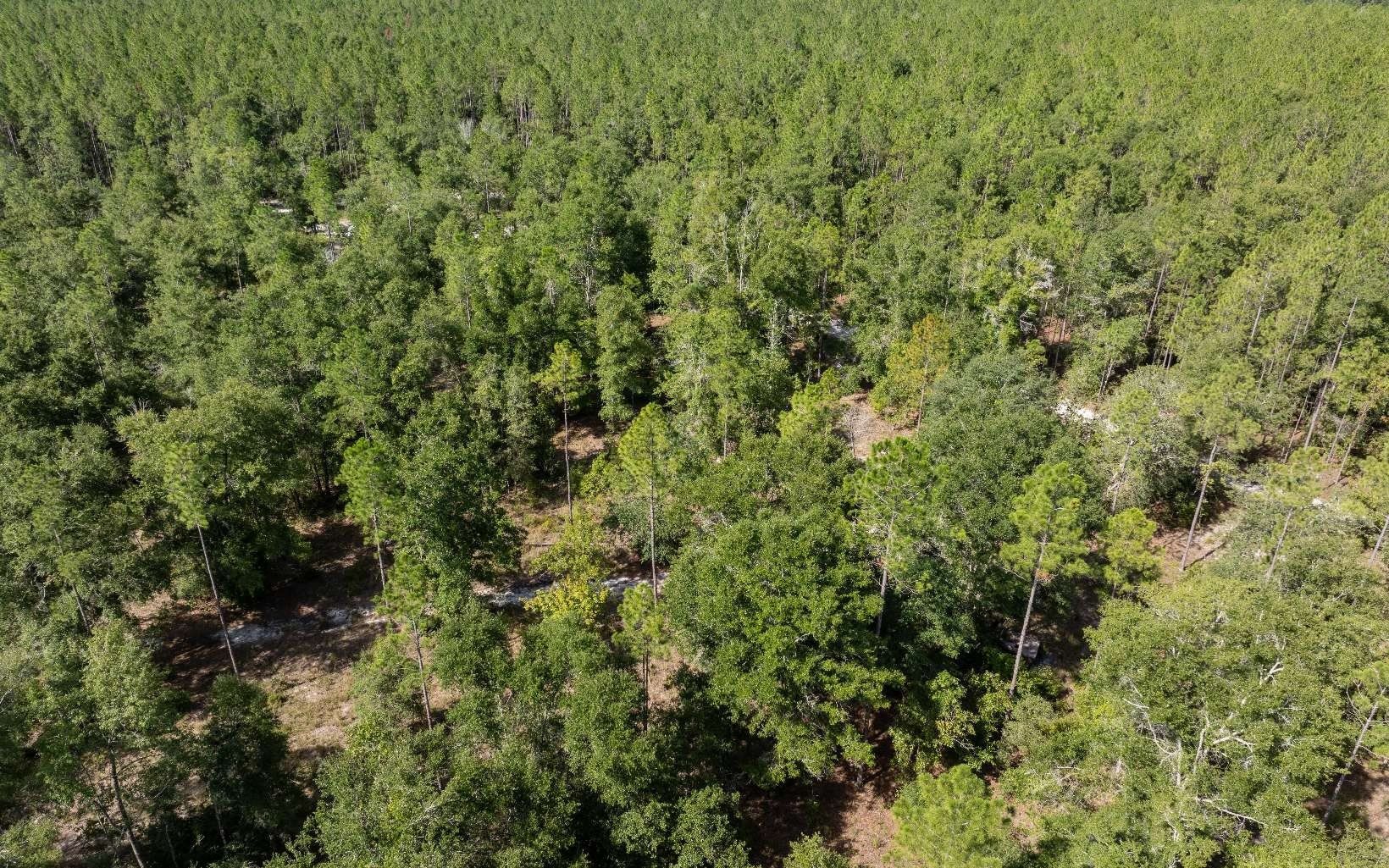 18180 180Th Street. Live Oak, FL 32060