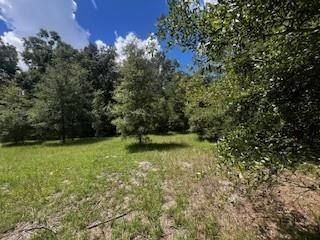 4899 36Th St. Bell, FL 32619