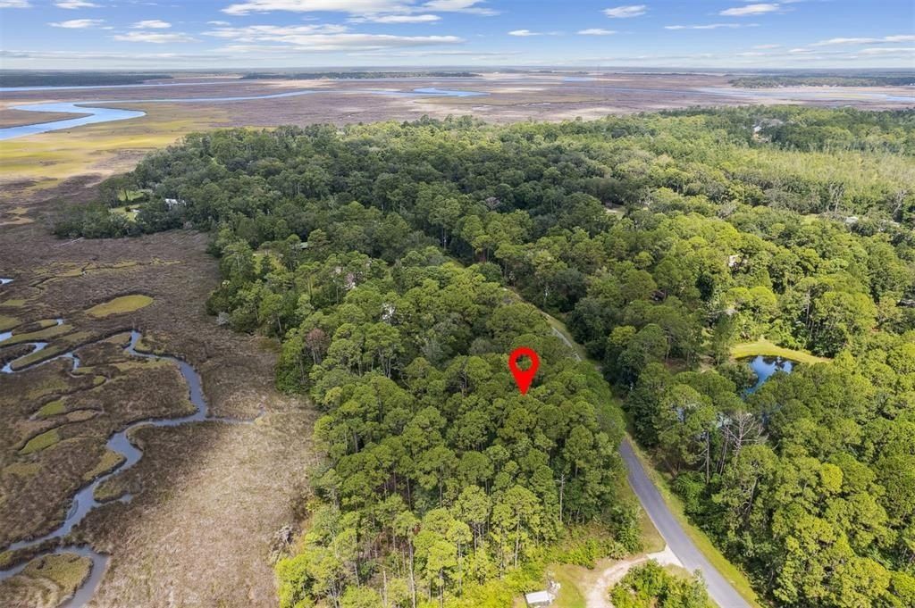 85378 Schubert Road Ici Egret V. Fernandina Beach, FL 32034