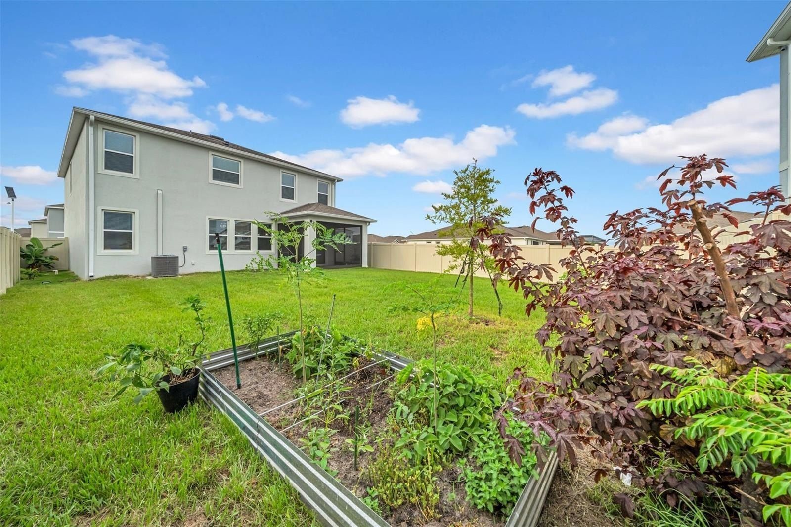 32136 Conchshell Sail Street. Wesley Chapel, FL 33545