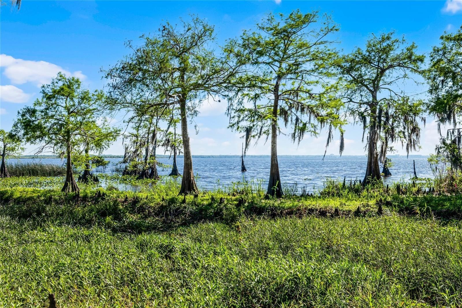 1475 Warrior Trail. Enterprise, FL 32725