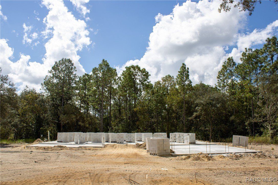 3818 W Birds Nest Drive. Beverly Hills, FL 34465