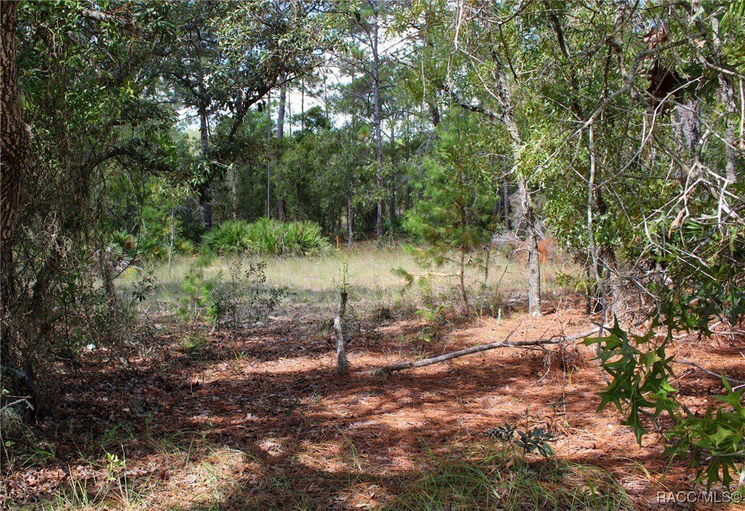 5784 N Durango Terrace. Beverly Hills, FL 34465