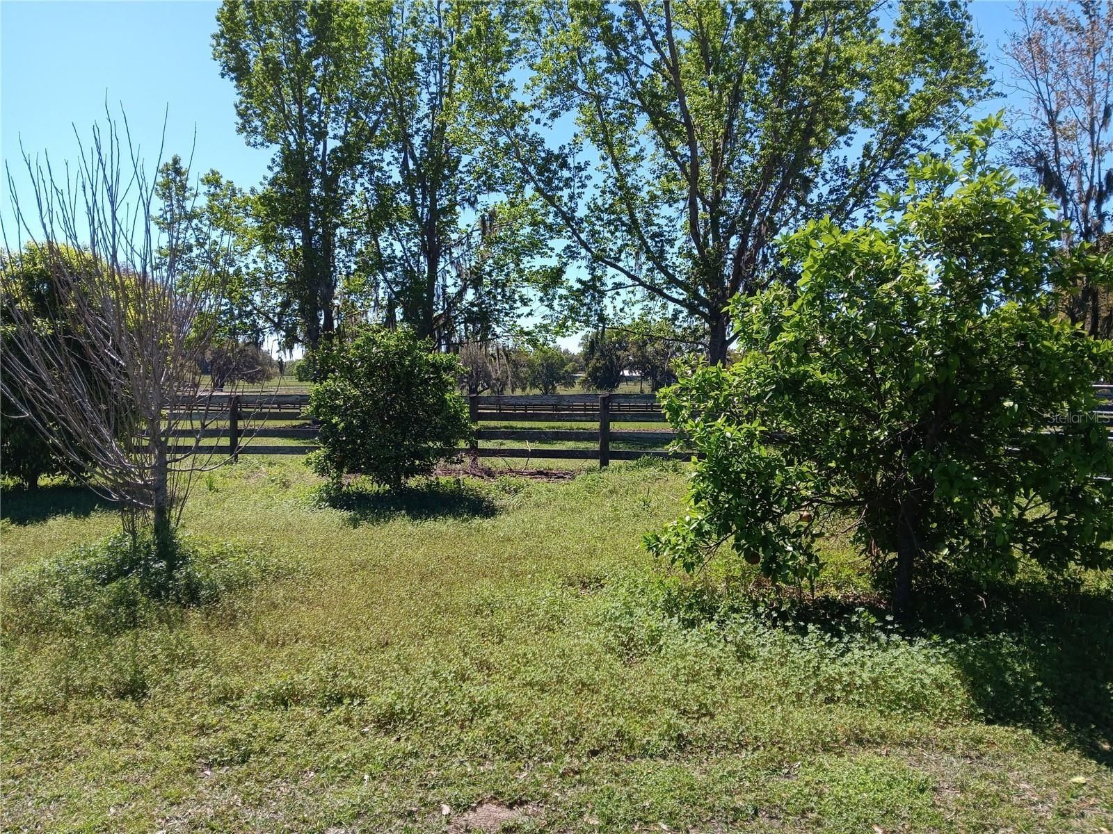 2630 Nw 140Th Street. Citra, FL 32113