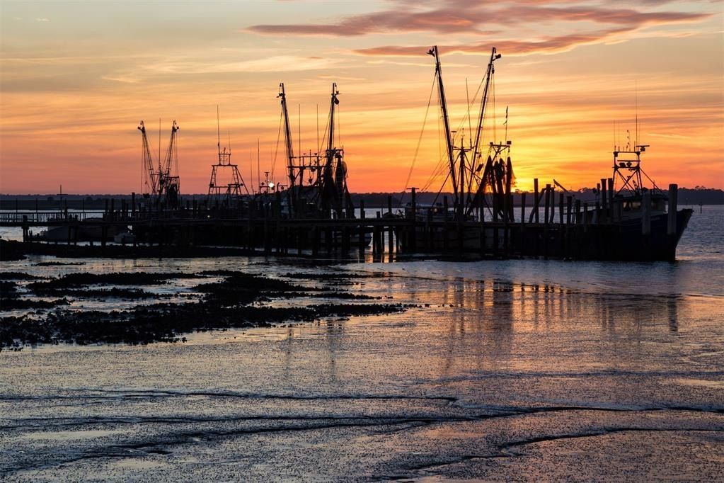 2881 Landyns Circle. Amelia Island, FL 32034