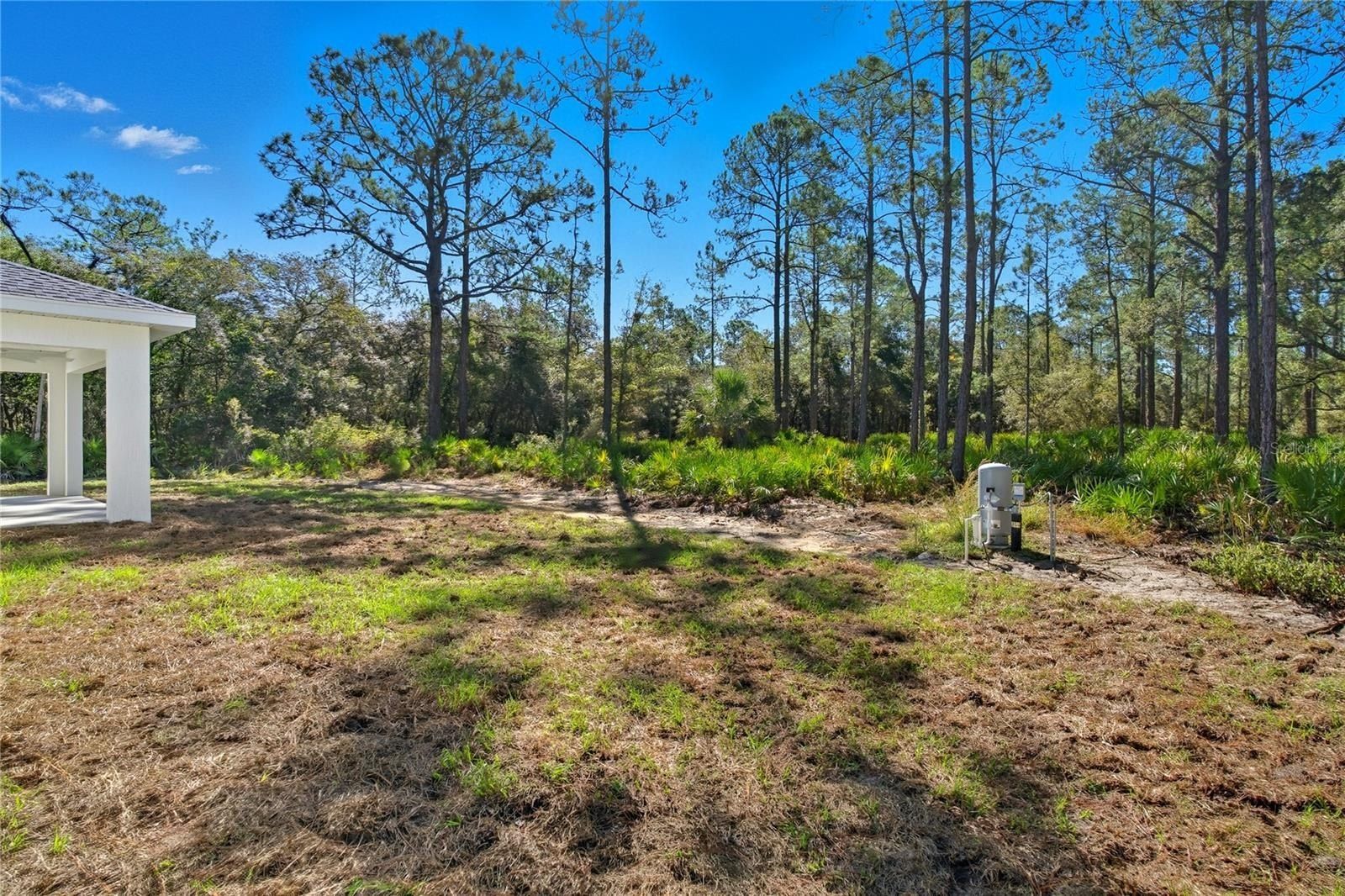 11240 W Dragonhead Drive. Crystal River, FL 34428