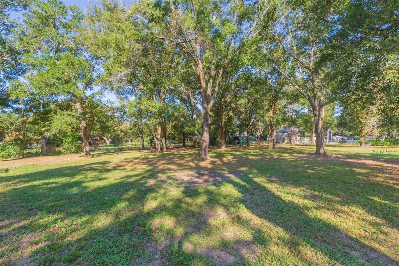 37321 Orange Row Lane. Dade City, FL 33525