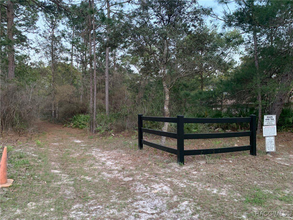 3155 W Brazilnut Road. Beverly Hills, FL 34465