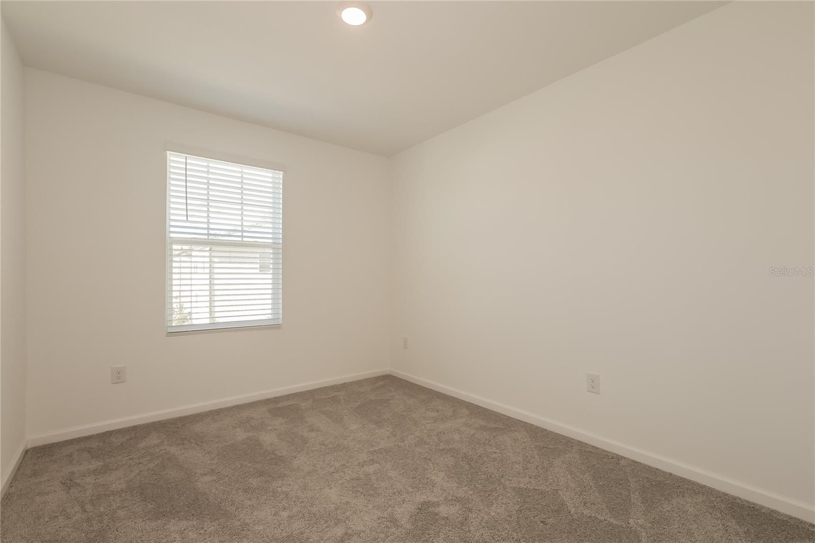 6244 Calle Ochoa Street. Zephyrhills, FL 33542