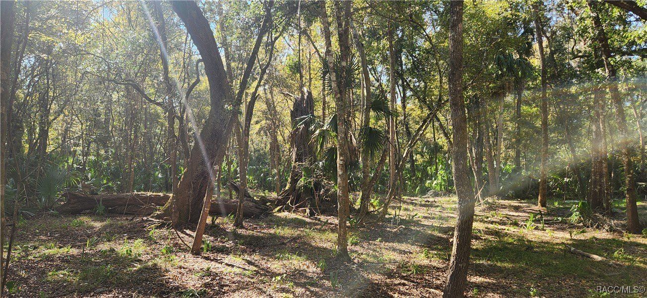 9292 E Roan Lane. Inverness, FL 34450