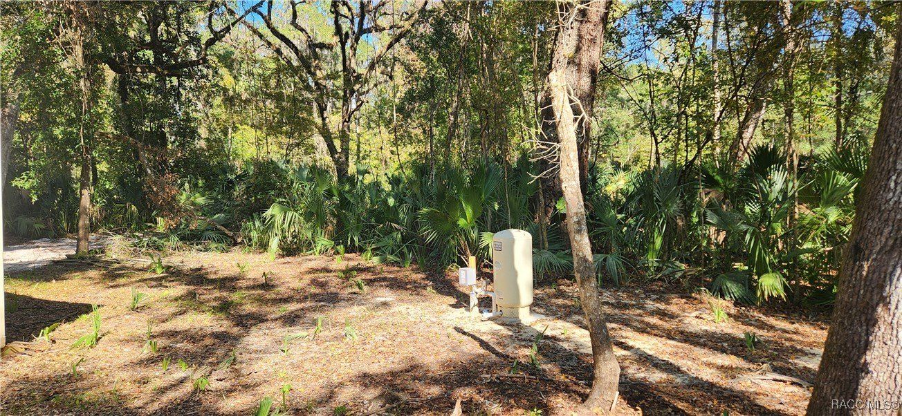 9292 E Roan Lane. Inverness, FL 34450