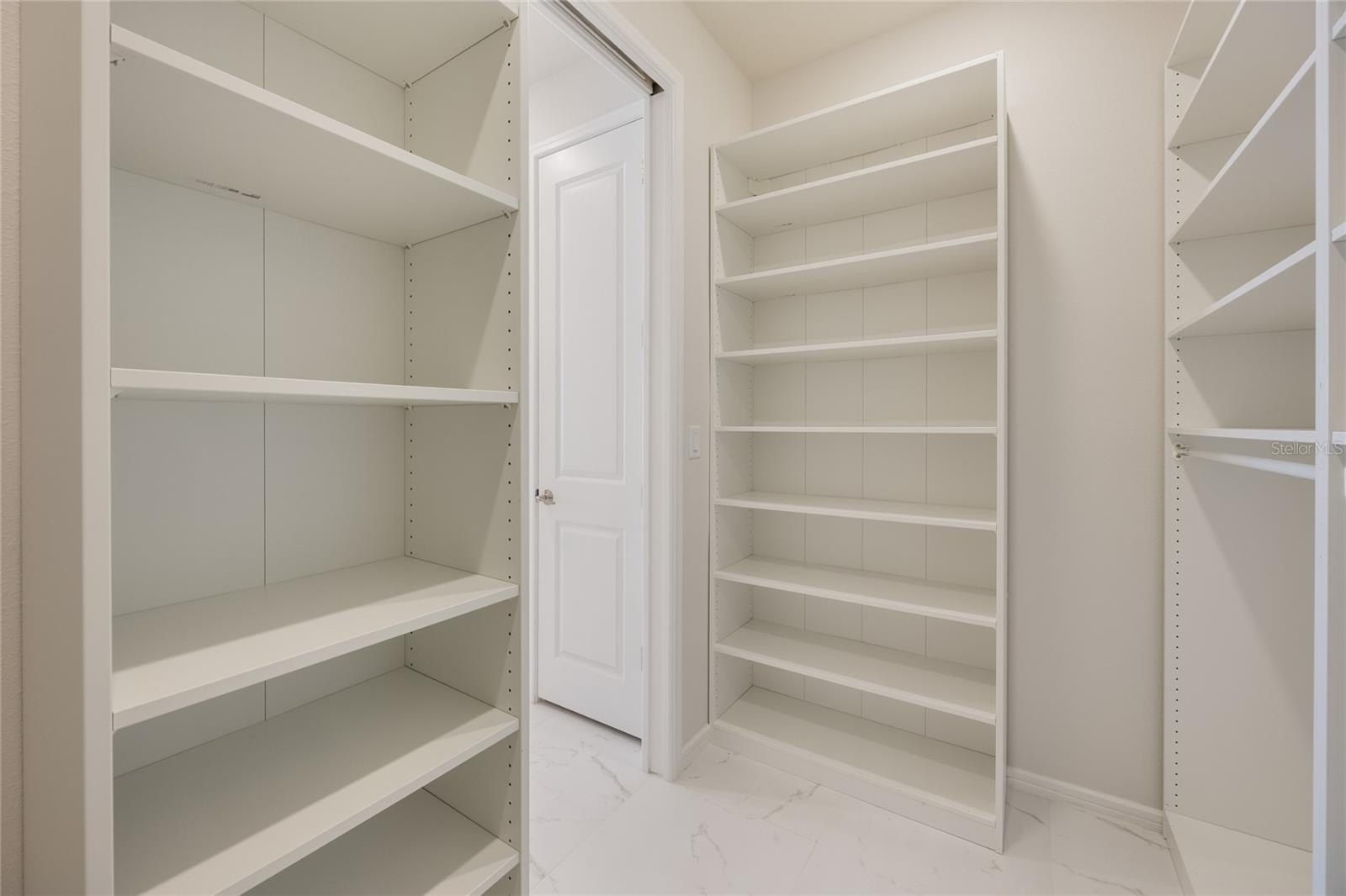 13562 Pearl Beach Street. Winter Garden, FL 34787