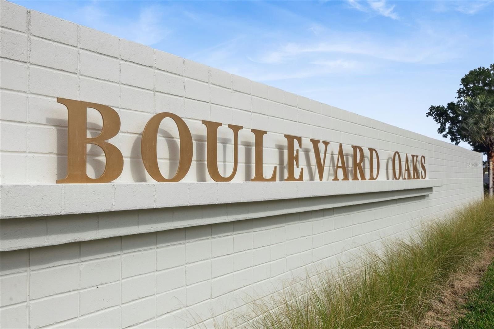 447 Skyfield Court. Lady Lake, FL 32159